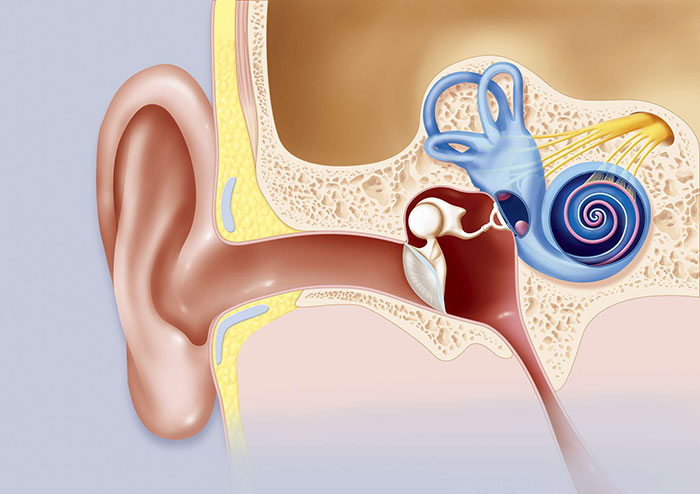 تشخیص وزوز گوش ضربانی
